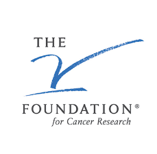 v foundation donate